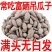 吊瓜子
