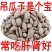 吊瓜子