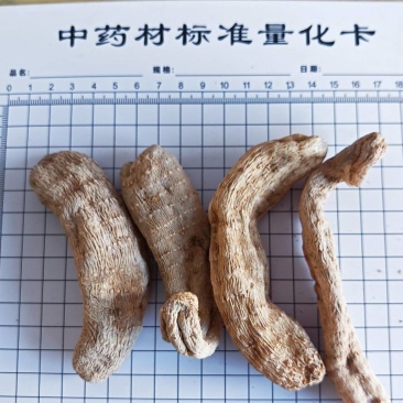 天麻！云南邵通货，高含量！一手货源，量大价优，规格齐全！