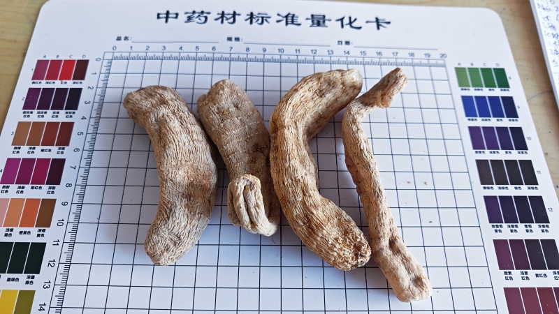 天麻！云南邵通货，高含量！一手货源，量大价优，规格齐全！