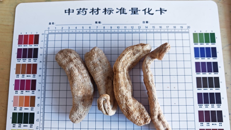 天麻！云南邵通货，高含量！一手货源，量大价优，规格齐全！