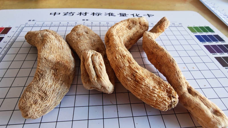 天麻！云南邵通货，高含量！一手货源，量大价优，规格齐全！