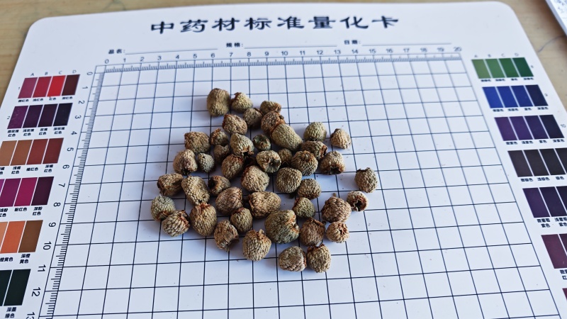 覆盆子。过0.6筛子。货干净无杂质！产地货源，量大可优惠
