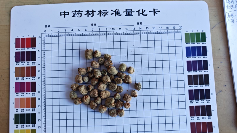 覆盆子。过0.6筛子。货干净无杂质！产地货源，量大可优惠