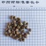 覆盆子。过0.6筛子。货干净无杂质！产地货源，量大可优惠