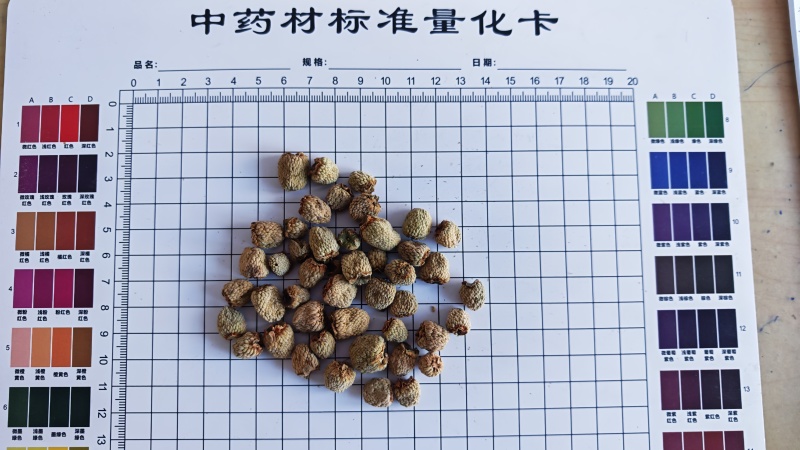 覆盆子。过0.6筛子。货干净无杂质！产地货源，量大可优惠
