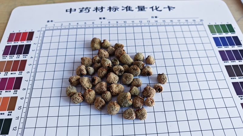覆盆子。过0.6筛子。货干净无杂质！产地货源，量大可优惠
