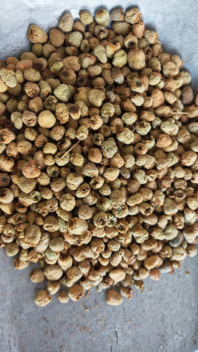 覆盆子。过0.6筛子。货干净无杂质！产地货源，量大可优惠