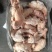 次鸡