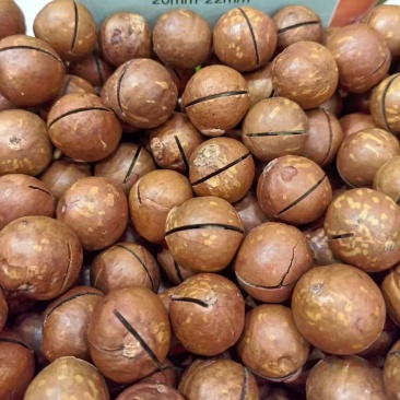 夏威夷奶香味