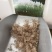 护坡牧草芒草种子四季种南方北方种植野护坡绿化