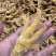 先炸后卤五香虎皮凤爪商用批发地摊火锅烤串香锅等