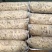 牛小肠A级半熟精修去油10.5元40斤