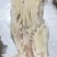【熟牛蹄筋】牛蹄筋去骨带主筋真空包装