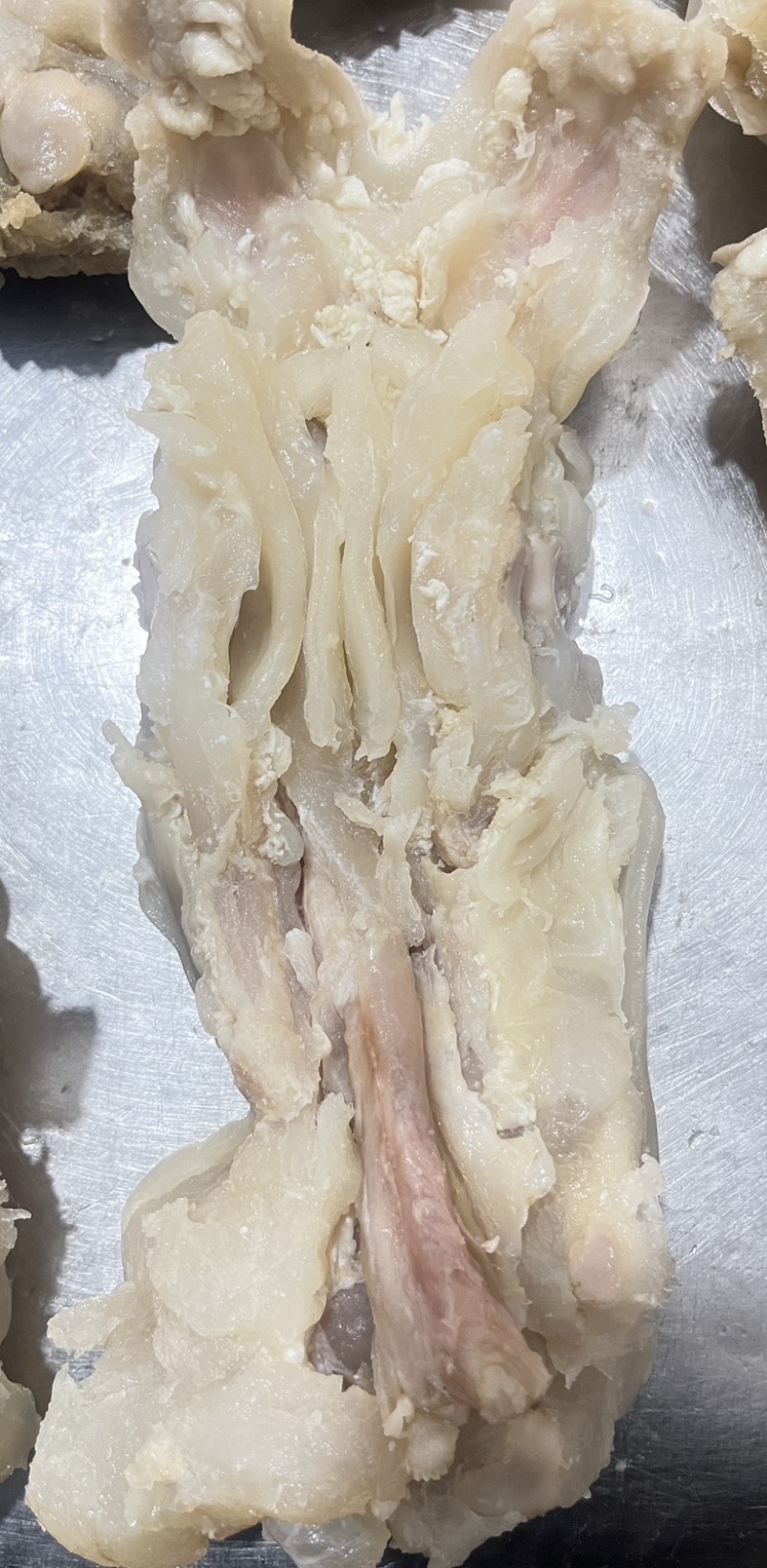 【熟牛蹄筋】牛蹄筋去骨带主筋真空包装
