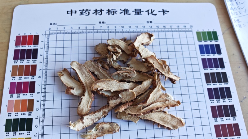 知母。知母肉，自己加工！量大价优、过0.8筛。干净无杂质