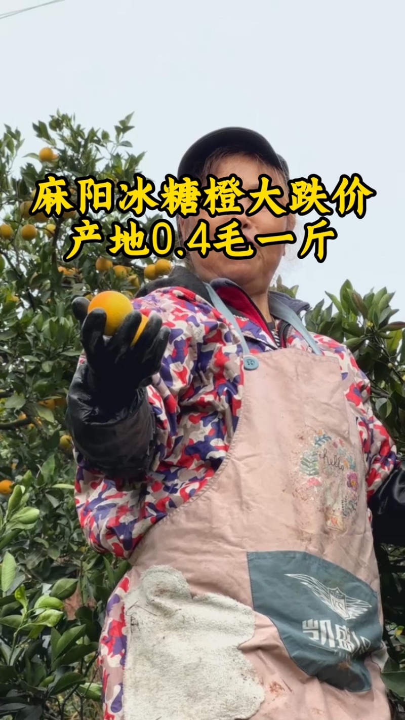 湖南冰糖橙果园直采规格齐全可按需带办