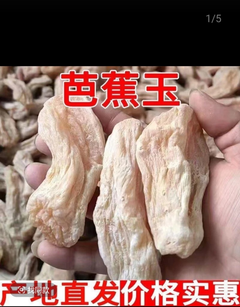 芭蕉芋