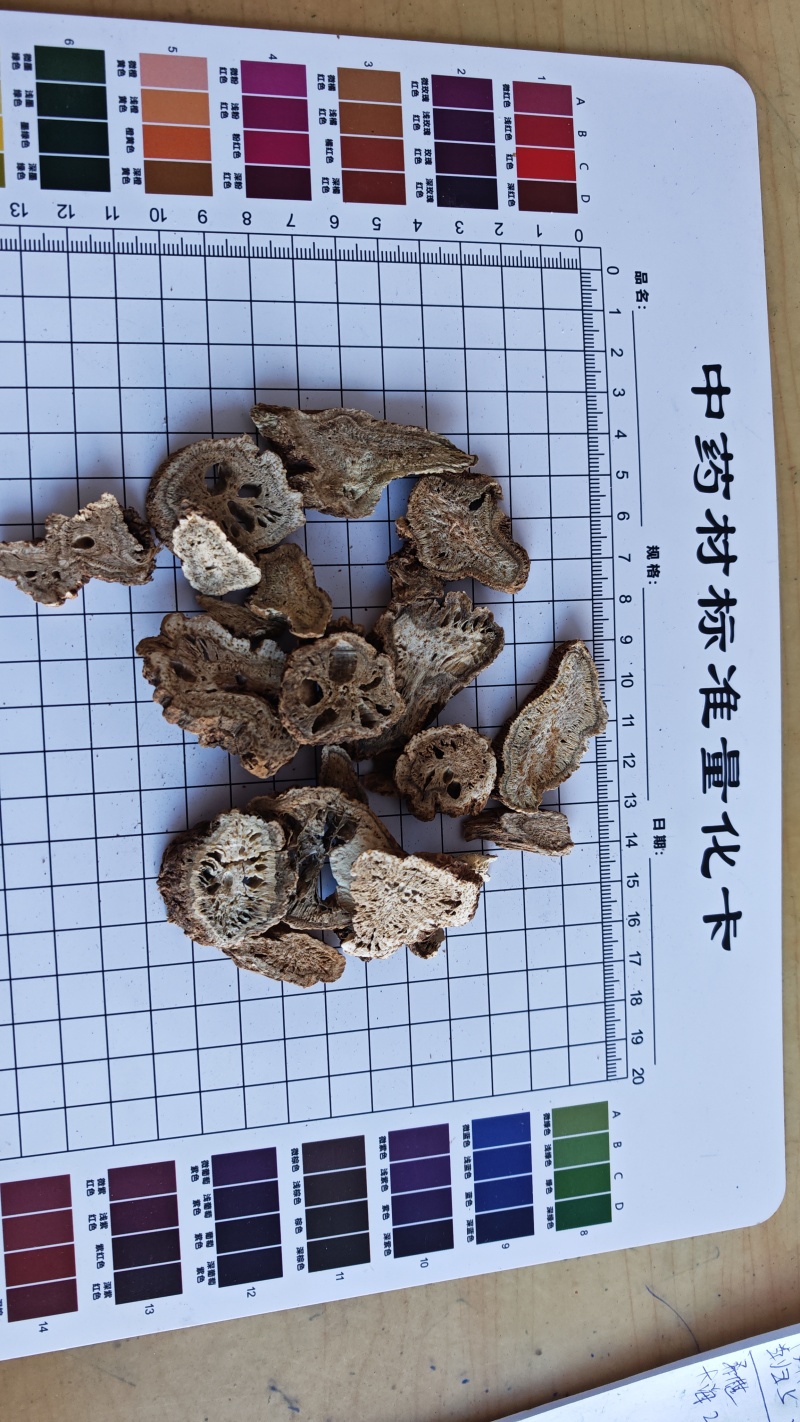 木香！云南木香，根条肥壮、油性足、香气浓郁。量大价优！