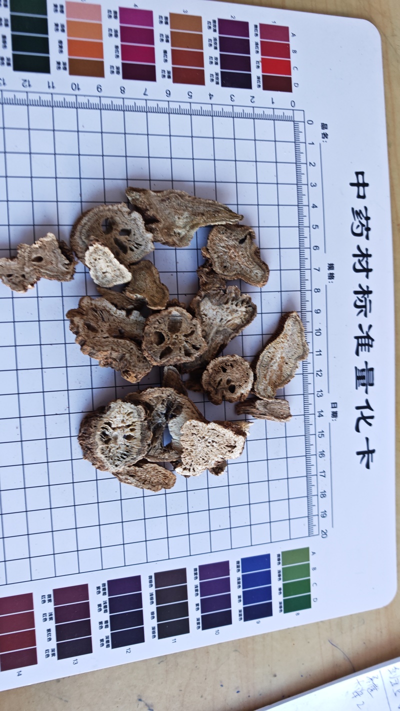 木香！云南木香，根条肥壮、油性足、香气浓郁。量大价优！