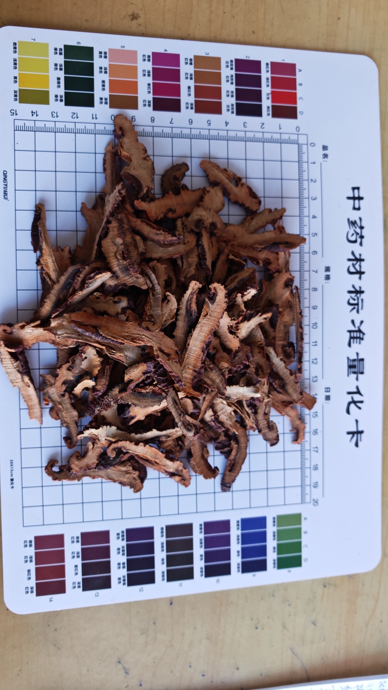 木瓜！川木瓜，皮薄肉厚、香气浓郁。产地一手货源货源。