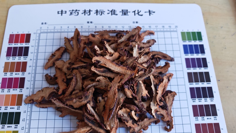 木瓜！川木瓜，皮薄肉厚、香气浓郁。产地一手货源货源。
