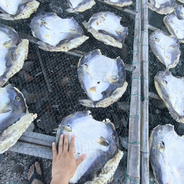 河豚干