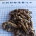 巴戟肉！广东货。肉质肥厚、根条粗壮、连珠状明显、味甜！