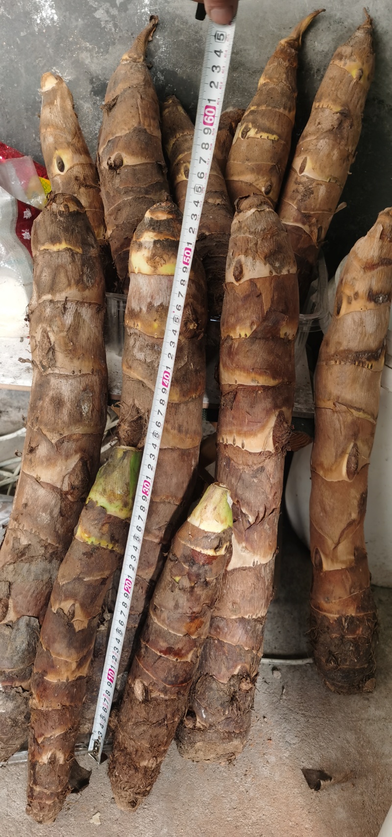 大量现货高钙香芋需要联系，价格美丽，口感软糯香甜。