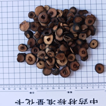 枳实！江西枳实，果肉厚实，质量上乘。自己加工，量大价优！