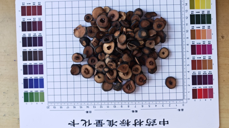 枳实！江西枳实，果肉厚实，质量上乘。自己加工，量大价优！