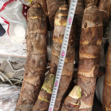 大量现货高钙香芋需要联系，价格美丽，口感软糯香甜。