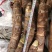 大量现货高钙香芋需要联系，价格美丽，口感软糯香甜。