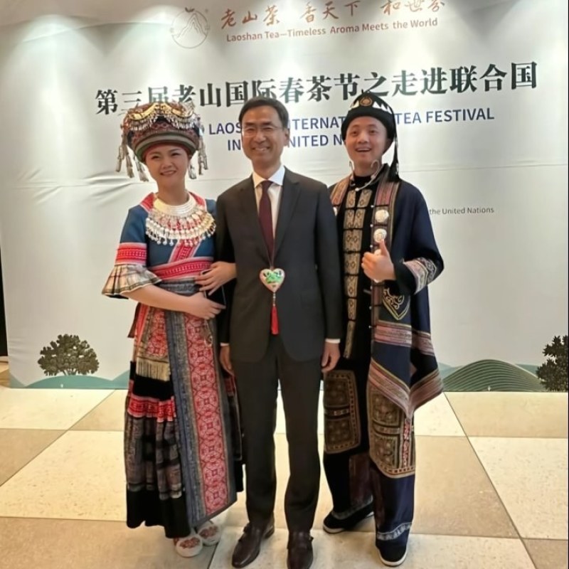 走进联合国的茶叶，中国云南麻栗坡老山百年古茶