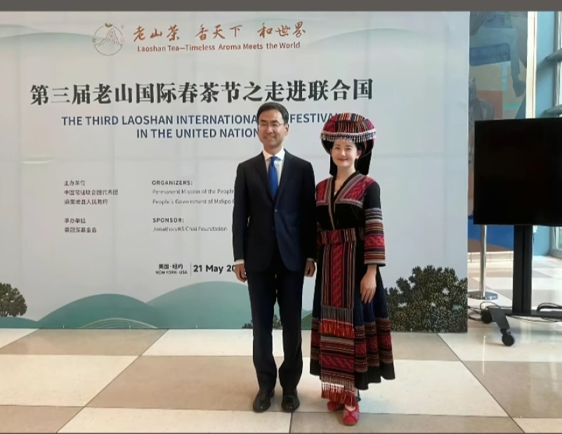 走进联合国的茶叶，中国云南麻栗坡老山百年古茶