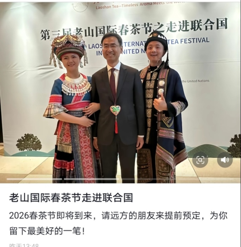 走进联合国的茶叶，中国云南麻栗坡老山百年古茶