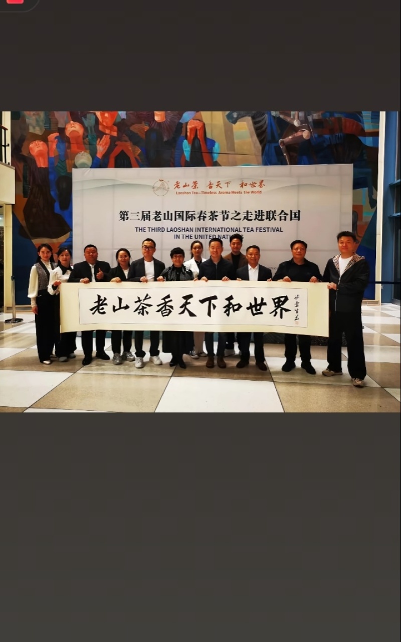 走进联合国的茶叶，中国云南麻栗坡老山百年古茶