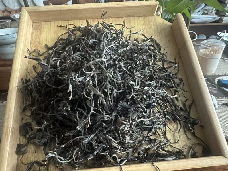 走进联合国的茶叶，中国云南麻栗坡老山百年古茶
