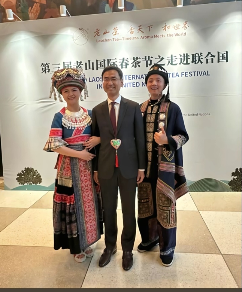 走进联合国的茶叶，中国云南麻栗坡老山百年古茶