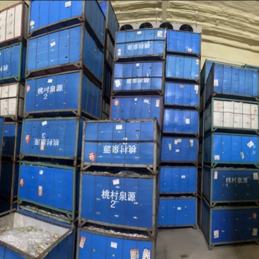 产地一手货源，寒富苹果，国光苹果，精品商品果