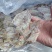 鱿鱼干