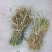 芦苇/芦苇水植物/芦苇根水上植物/绿化水面一手货源全国发