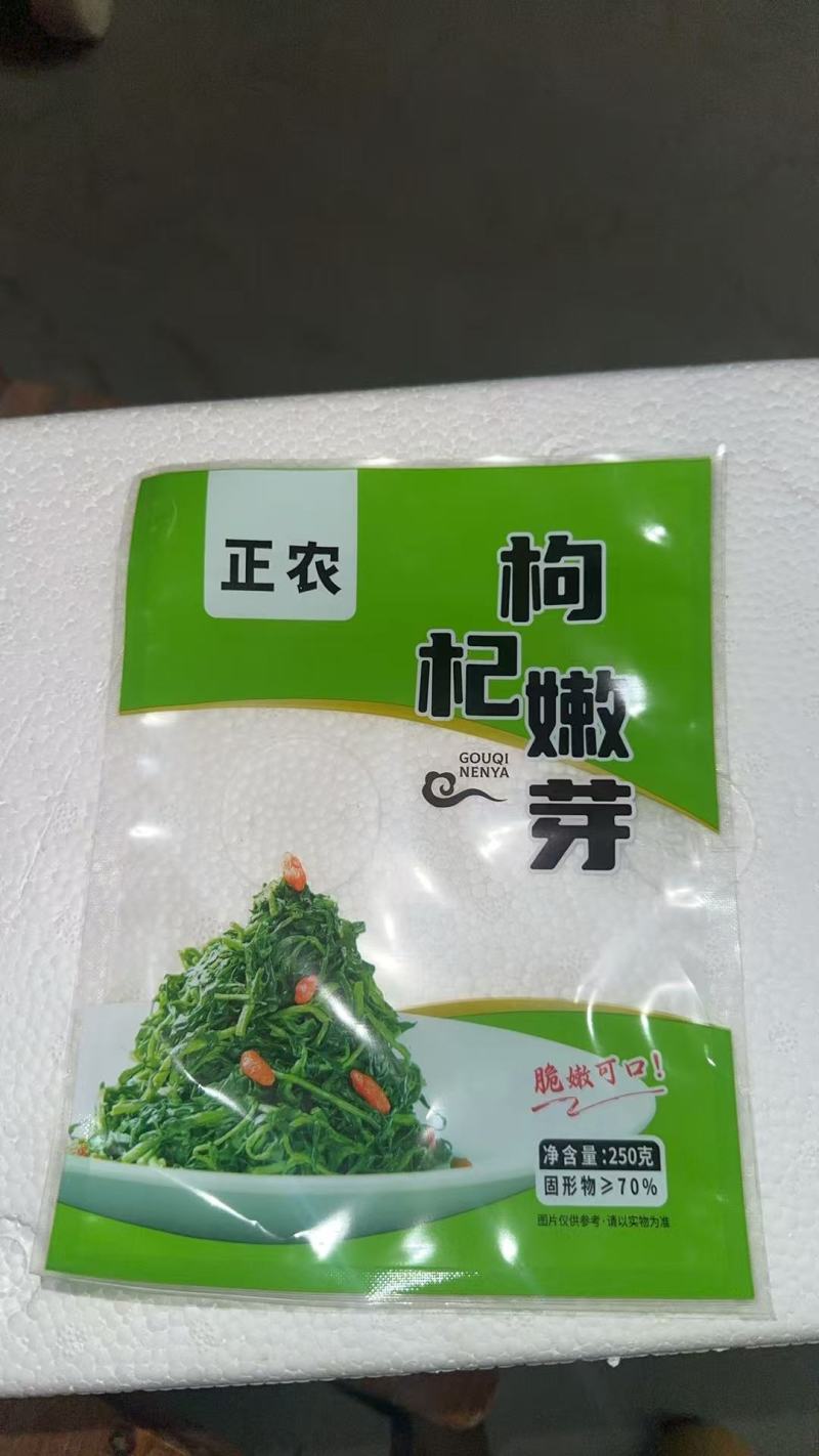 辣木苗菜，大量有货，可以视频看货，对接全国市场电商平台