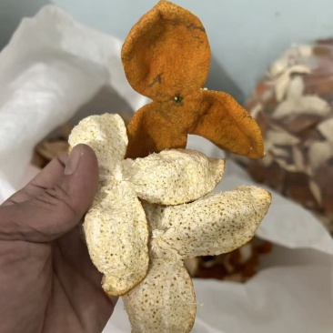 广西浦北陈皮大红皮茶枝柑***天然产地直销全国发货