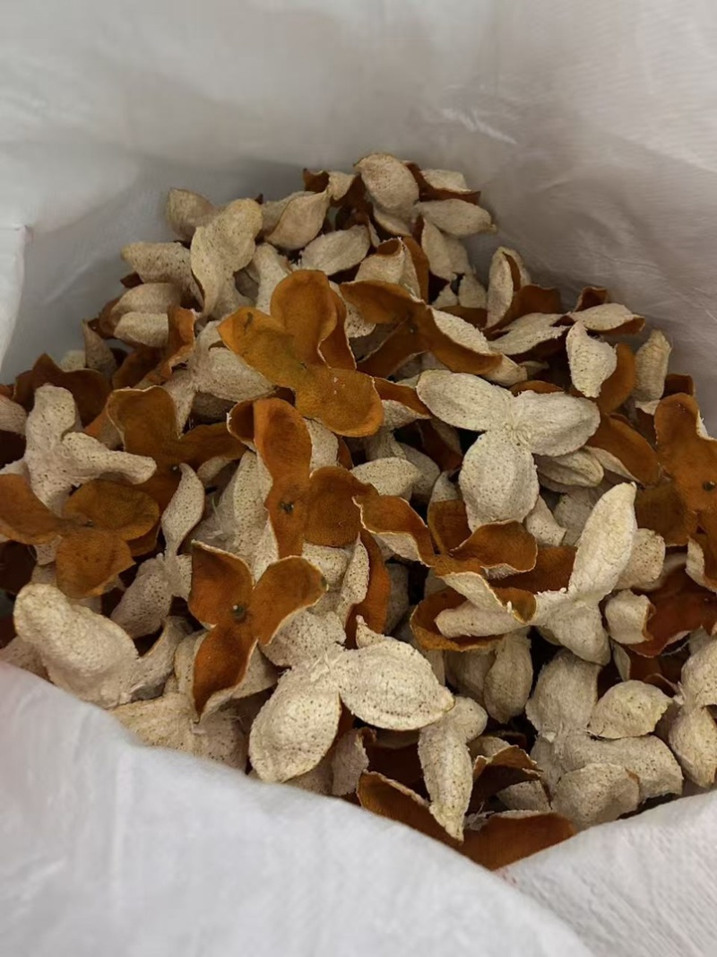 广西浦北陈皮大红皮茶枝柑***天然产地直销全国发货