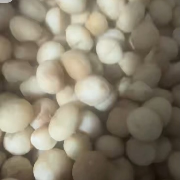 坚果干果奶香味夏威夷果仁整颗饱满大量有货