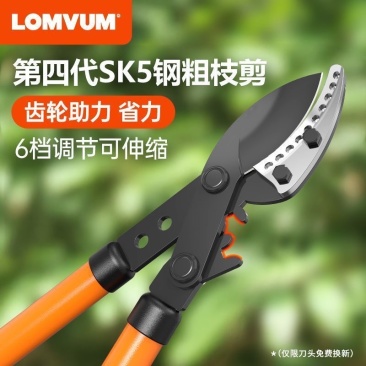 树枝剪