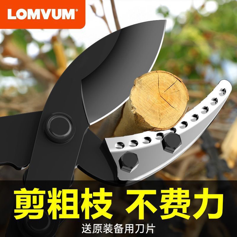 树枝剪