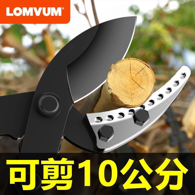 树枝剪