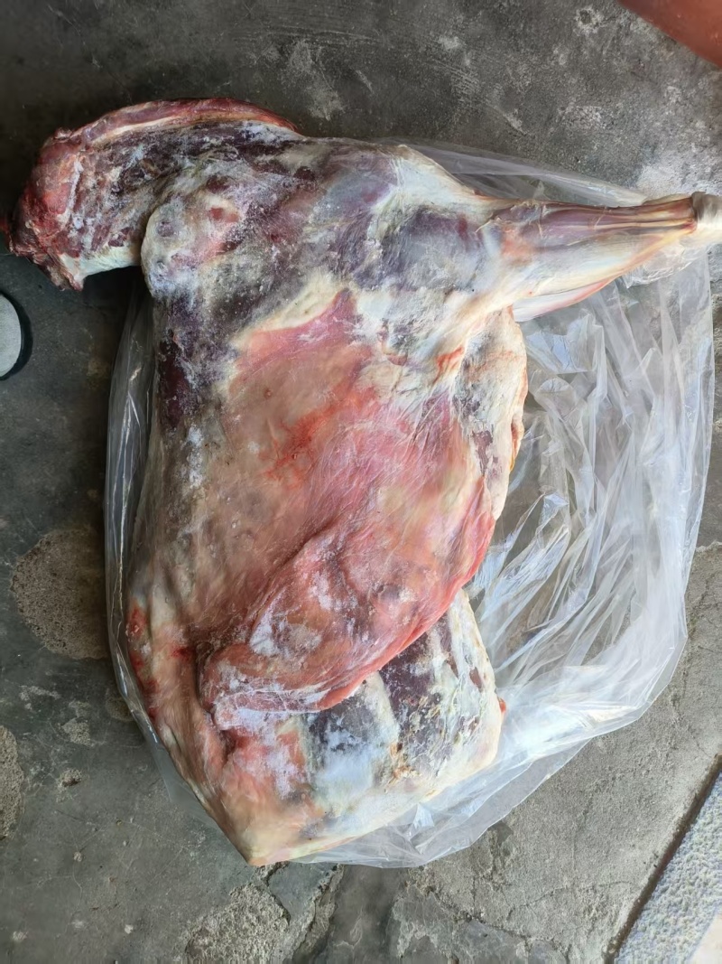 厂家直销净堂山羊胴体